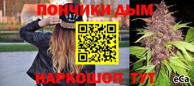 индика Заводоуковск