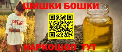 индика Заводоуковск