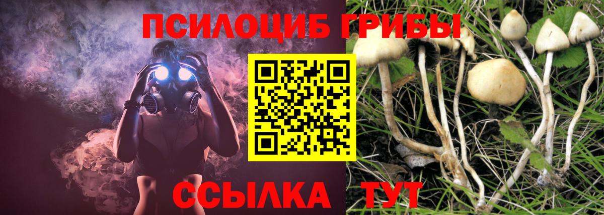 Галлюциногенные грибы мухоморы Люберцы
